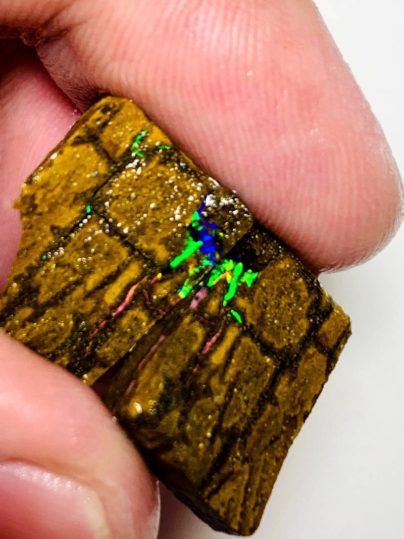 Queensland Boulder opal rough pair 37cts Winton Bright Vibrant Multifires showing 18x15x14mm & 18x14x5mm BFC65