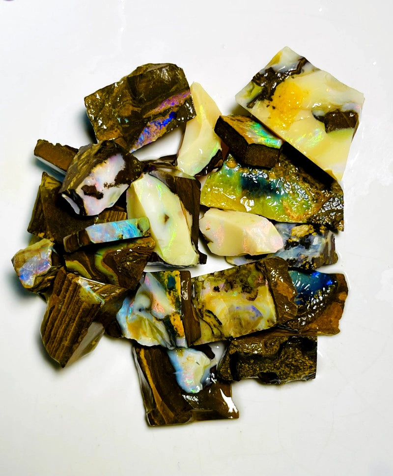 Queensland Boulder opal rough Parcel 490cts Winton Lots fires showing Lots potential 30x20x15mm to 12x10x8mm BFC70