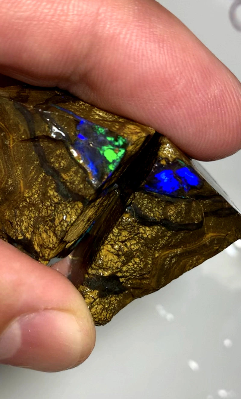Queensland Boulder opal pair 150cts Winton Bright Fires showing 30x22x18mm & 32x20x16mm BFC59