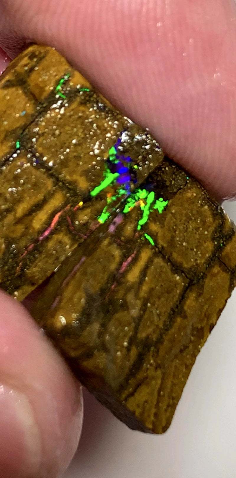 Queensland Boulder opal rough pair 37cts Winton Bright Vibrant Multifires showing 18x15x14mm & 18x14x5mm BFC65
