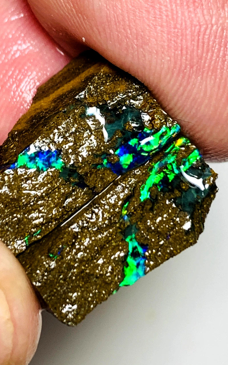 Queensland Boulder opal pair 24cts Winton Bright Vibrant Exotic Multifires showing 19x12x5mm & 18x8x5mm BFC63