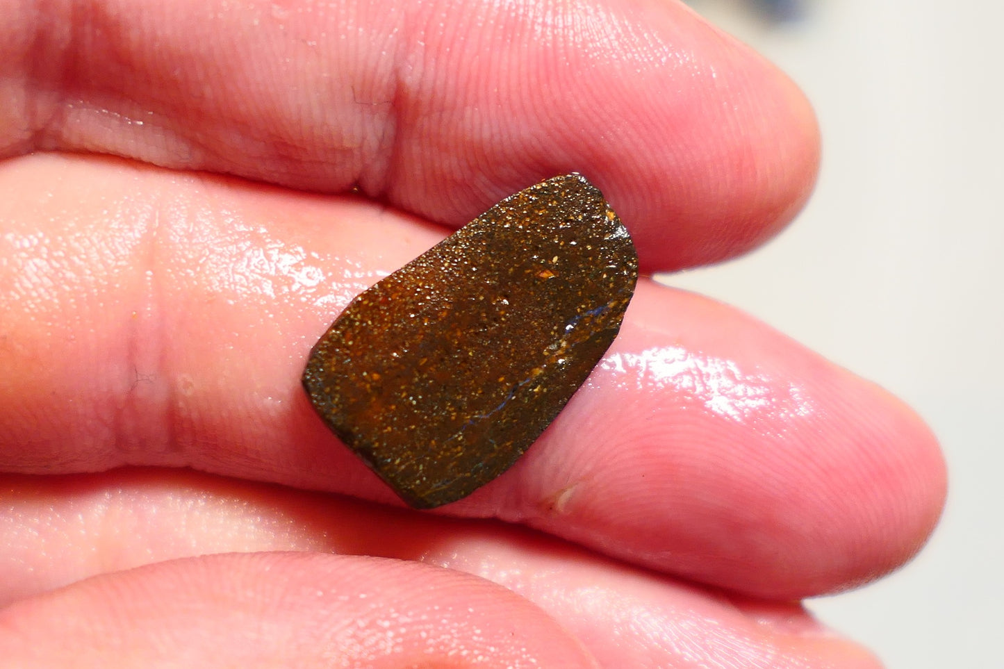 Queensland Boulder opal 4.5cts rub / rough / preform Koroit Blue fires 20x12x1.5mm BRA06