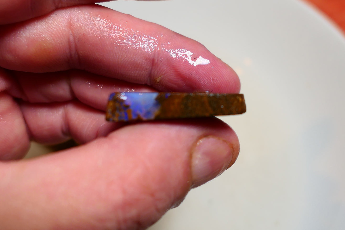 Queensland Boulder Matrix opal 45cts rough / slice Koroit bits fires 30x20x6mm BD#01