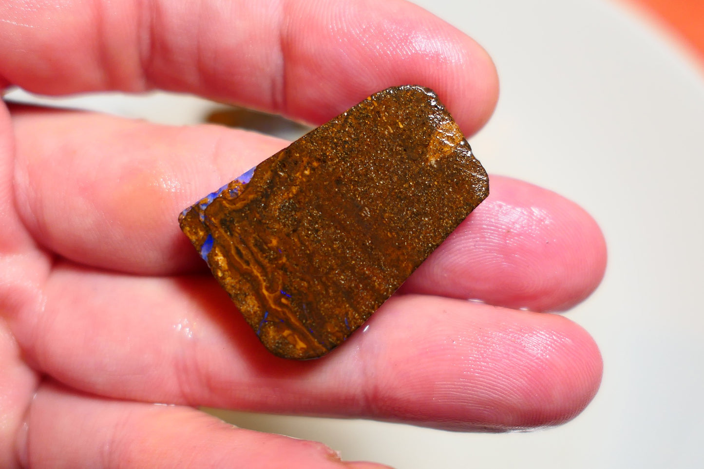 Queensland Boulder Matrix opal 45cts rough / slice Koroit bits fires 30x20x6mm BD#01