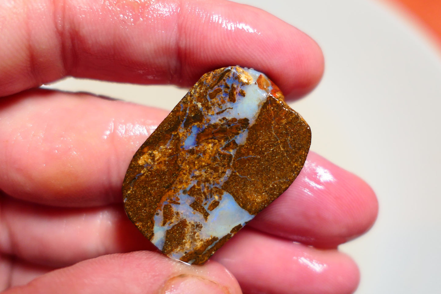 Queensland Boulder Matrix opal 42cts rough / slice Koroit bits fires 30x20x6mm BD#08