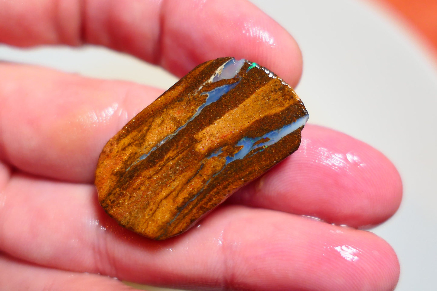 Queensland Boulder Matrix opal 41cts rough / slice Koroit bits fires 35x15x6mm BD#09