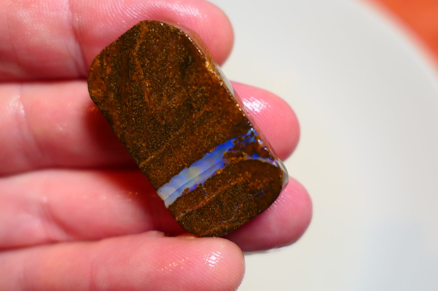 Queensland Boulder Matrix opal 56cts rough / slice Koroit bits fires 30x16x6mm BD#03