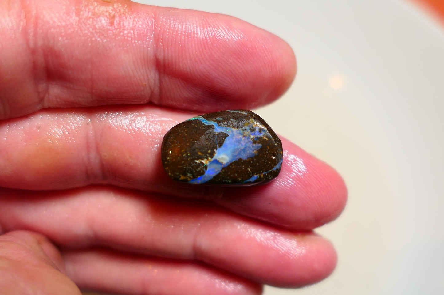 Queensland Boulder opal 19cts rub / rough / preform Koroit Blue fires 17x10x4mm BR#02