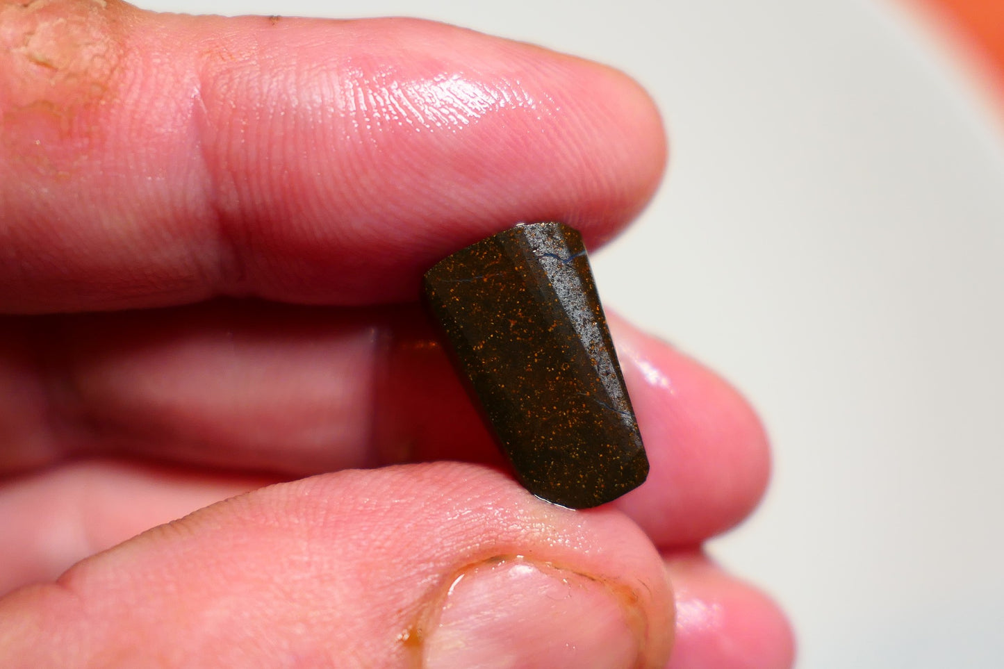 Queensland Boulder opal 11cts rub / rough / preform Koroit Blue fires 15x10x5mm BR#12