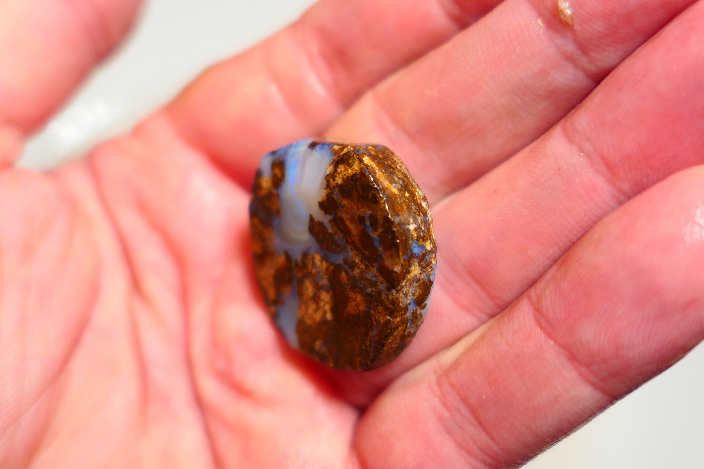 Queensland Boulder Matrix opal 45cts rough / slice Koroit bits fires 30x30x6mm BD#05