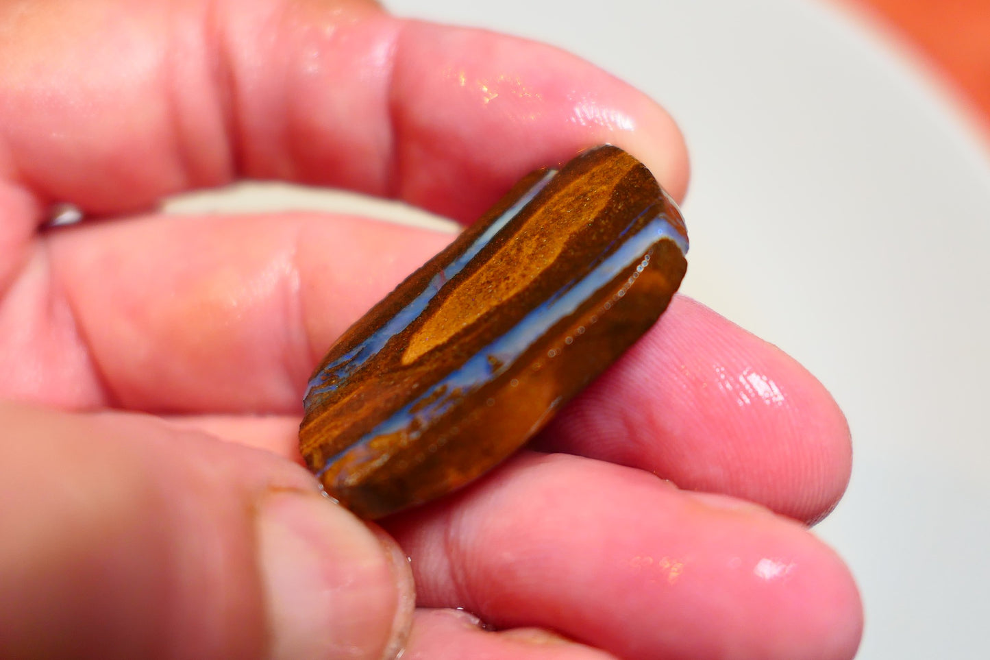 Queensland Boulder Matrix opal 41cts rough / slice Koroit bits fires 35x15x6mm BD#09