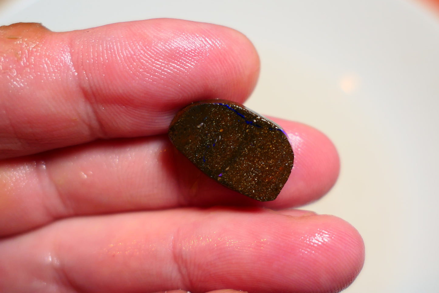 Queensland Boulder Matrix opal 13cts rub / rough / preform Koroit Blue veins of fires 17x10x4mm BR#01