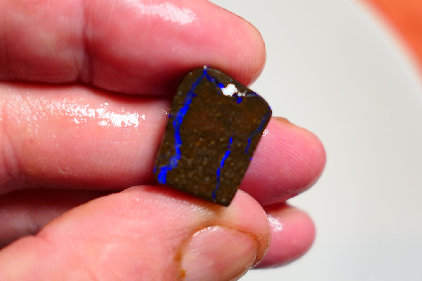 Queensland Boulder Matrix opal 16cts rub / rough / preform Koroit Blue veins of fires 16x12x5mm BR#11