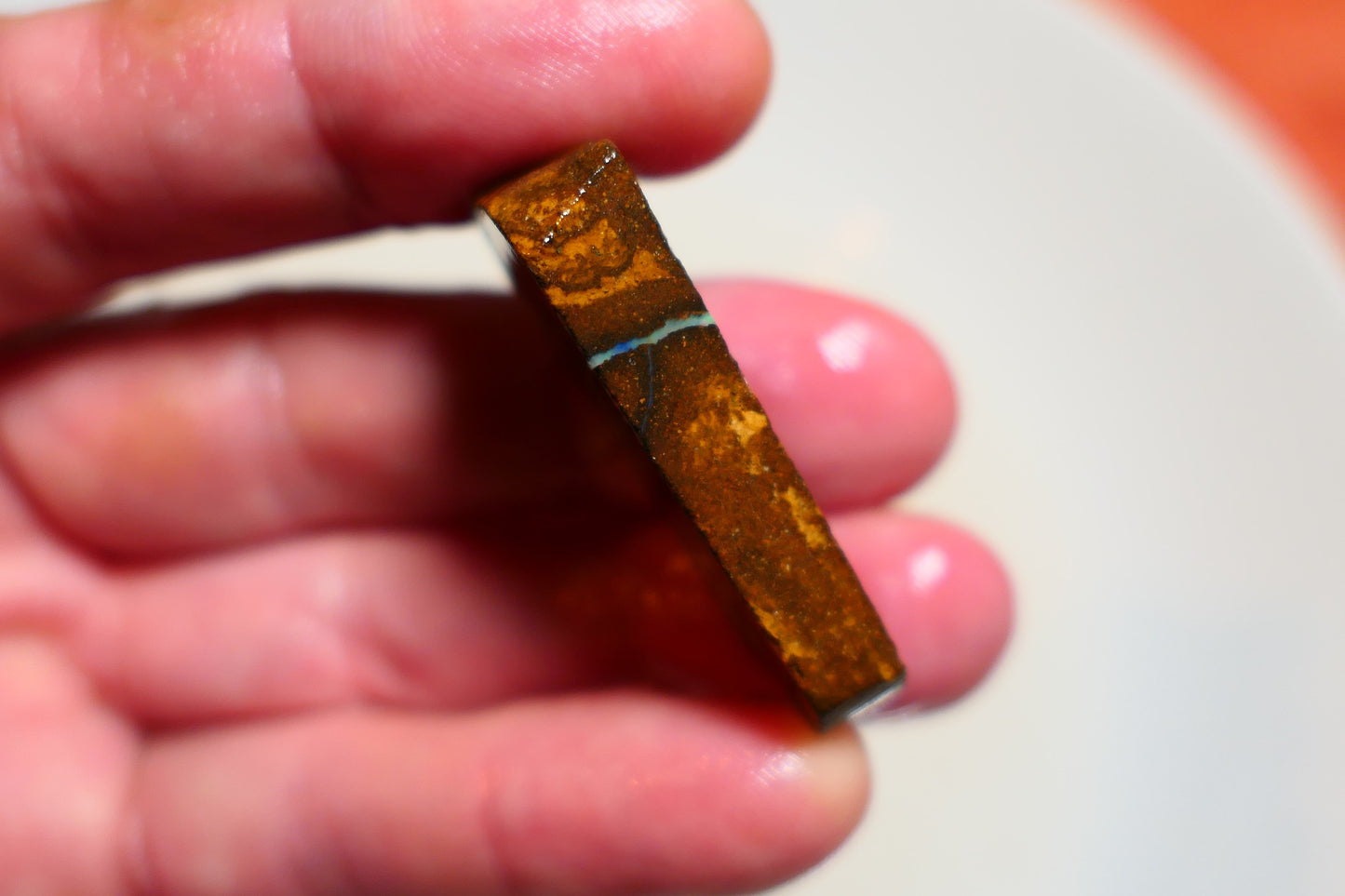 Queensland Boulder Matrix opal 61cts rough / slice Koroit bits fires 40x15x6mm BD#04