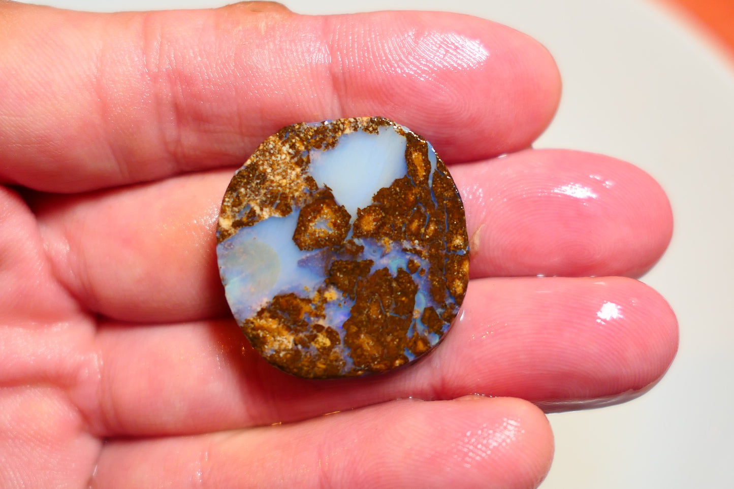 Queensland Boulder Matrix opal 45cts rough / slice Koroit bits fires 30x30x6mm BD#05