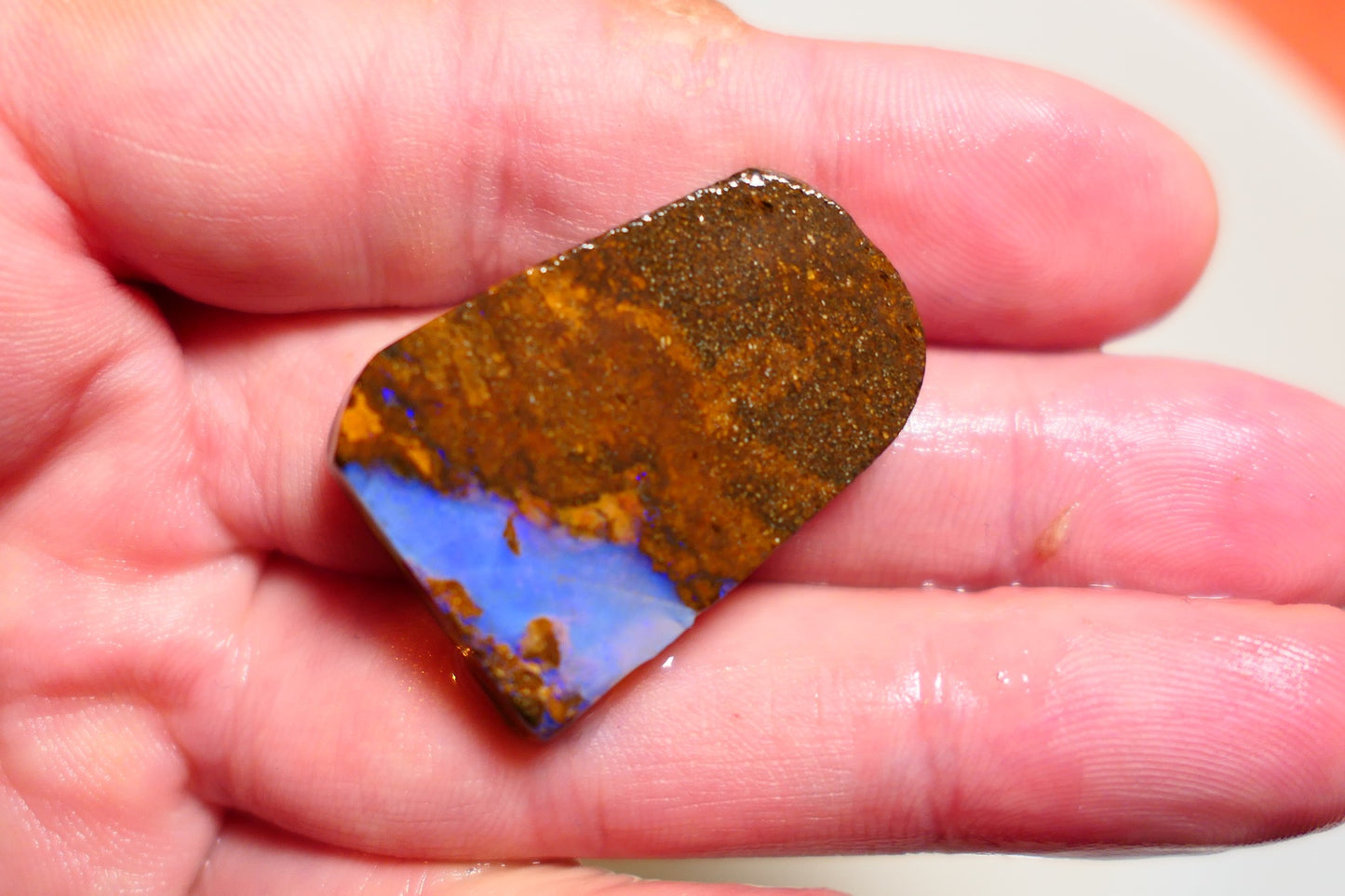 Queensland Boulder Matrix opal 45cts rough / slice Koroit bits fires 30x20x6mm BD#01