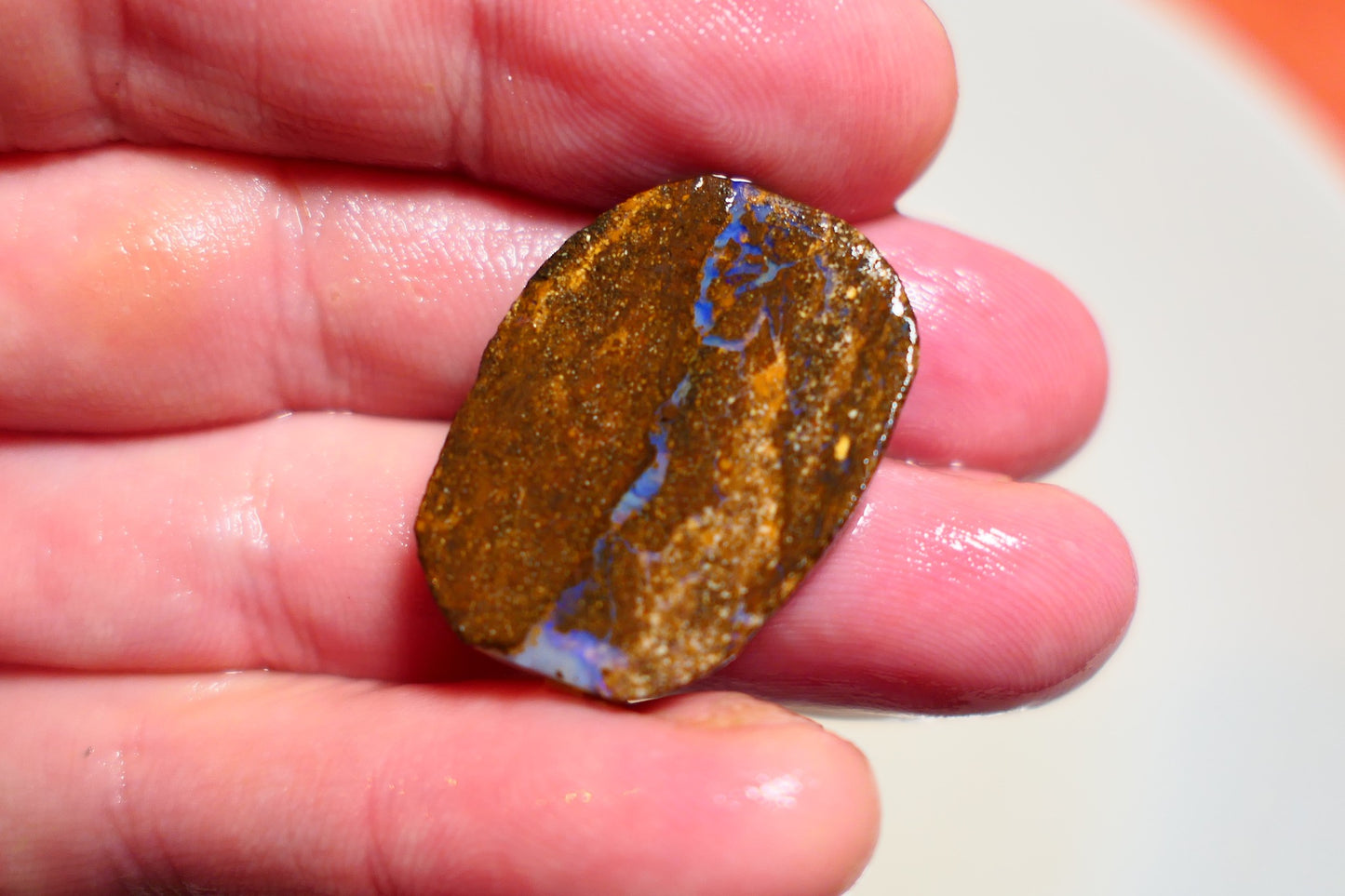 Queensland Boulder Matrix opal 26cts rough / slice Koroit bits fires 28x18x5mm BD#07