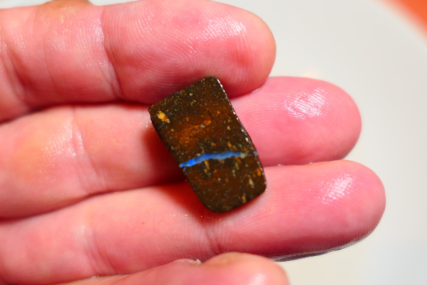 Queensland Boulder Matrix opal 16cts rub / rough / preform Koroit Blue veins of fires 20x10x4mm BR#04