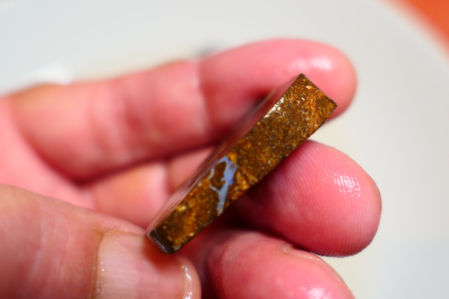 Queensland Boulder Matrix opal 42cts rough / slice Koroit bits fires 30x20x6mm BD#08