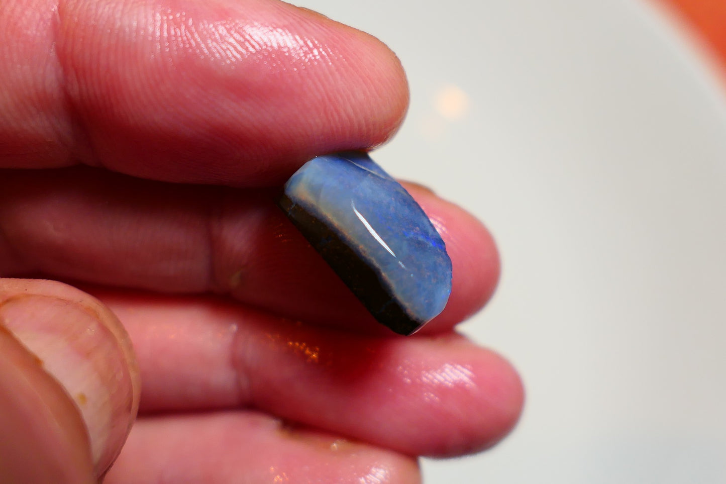 Queensland Boulder opal 11cts rub / rough / preform Koroit Blue fires 15x10x5mm BR#12