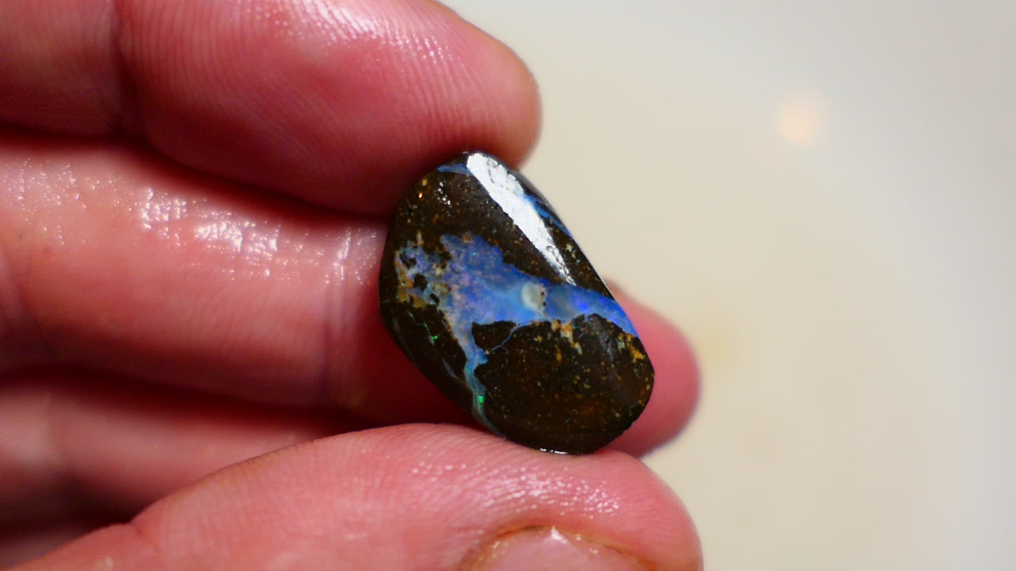 Queensland Boulder opal 19cts rub / rough / preform Koroit Blue fires 17x10x4mm BR#02