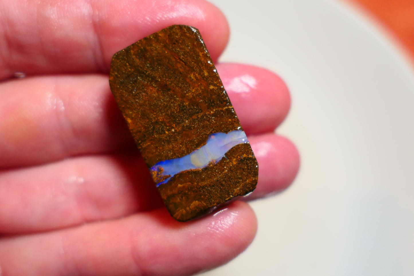 Queensland Boulder Matrix opal 56cts rough / slice Koroit bits fires 30x16x6mm BD#03