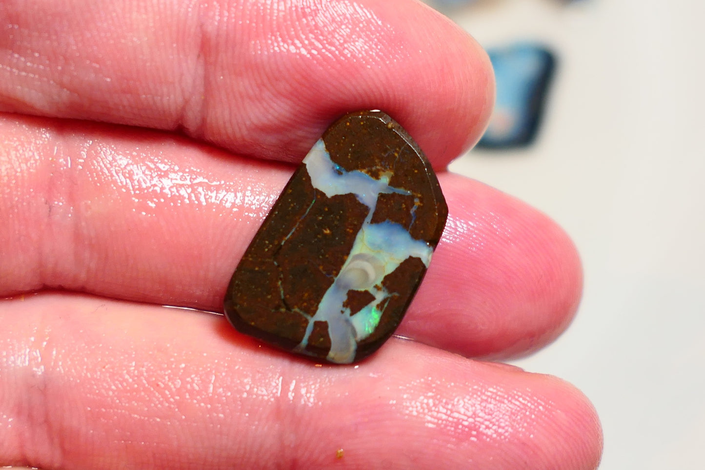 Queensland Boulder opal 13cts rub / rough / preform Koroit Blue & Green fires 22x14x4mm BRA05