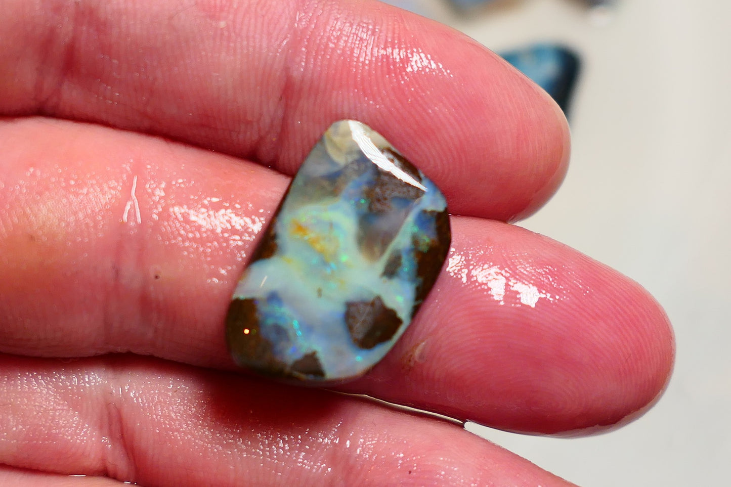 Queensland Boulder opal 13cts rub / rough / preform Koroit Blue & Green fires 22x14x4mm BRA05