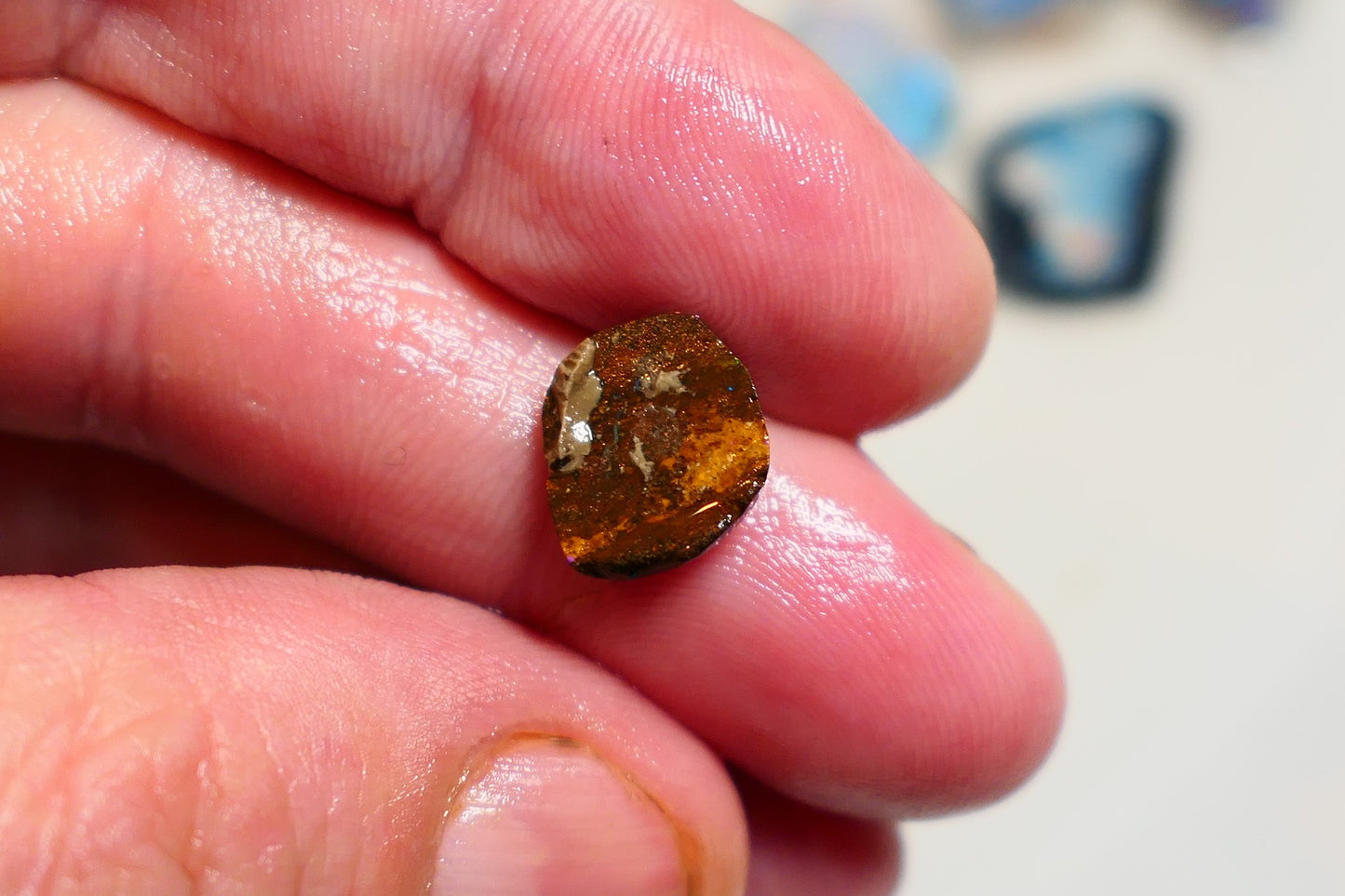 Queensland Boulder opal 4cts rub / rough / preform Koroit Blue fires 11x7x3mm BRA09