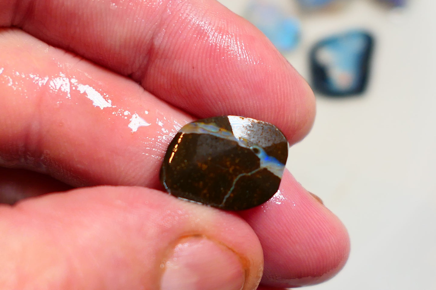 Queensland Boulder opal 13cts rub / rough / preform Koroit Blue fires 15x11x5mm BRA04