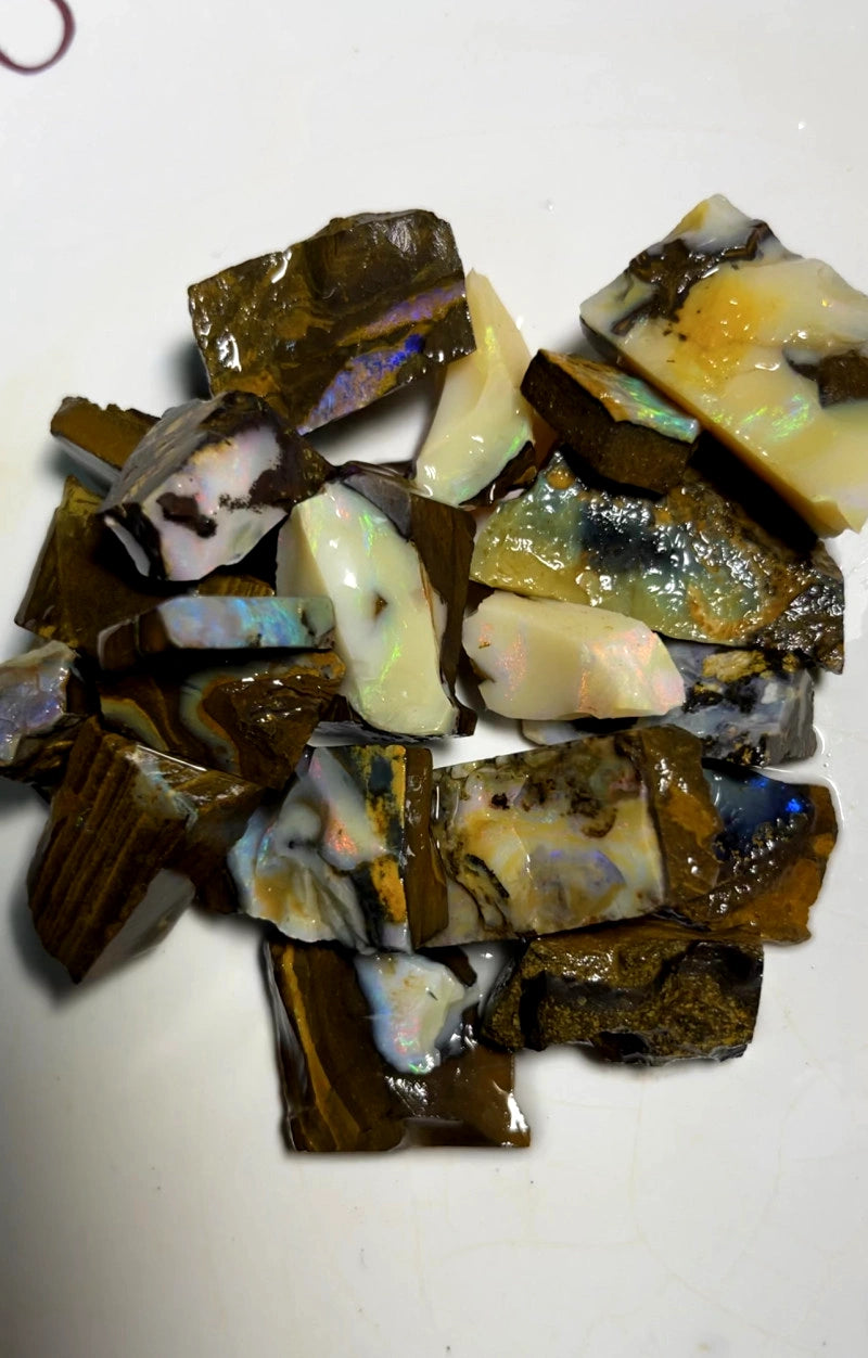 Queensland Boulder opal rough Parcel 490cts Winton Lots fires showing Lots potential 30x20x15mm to 12x10x8mm BFC70