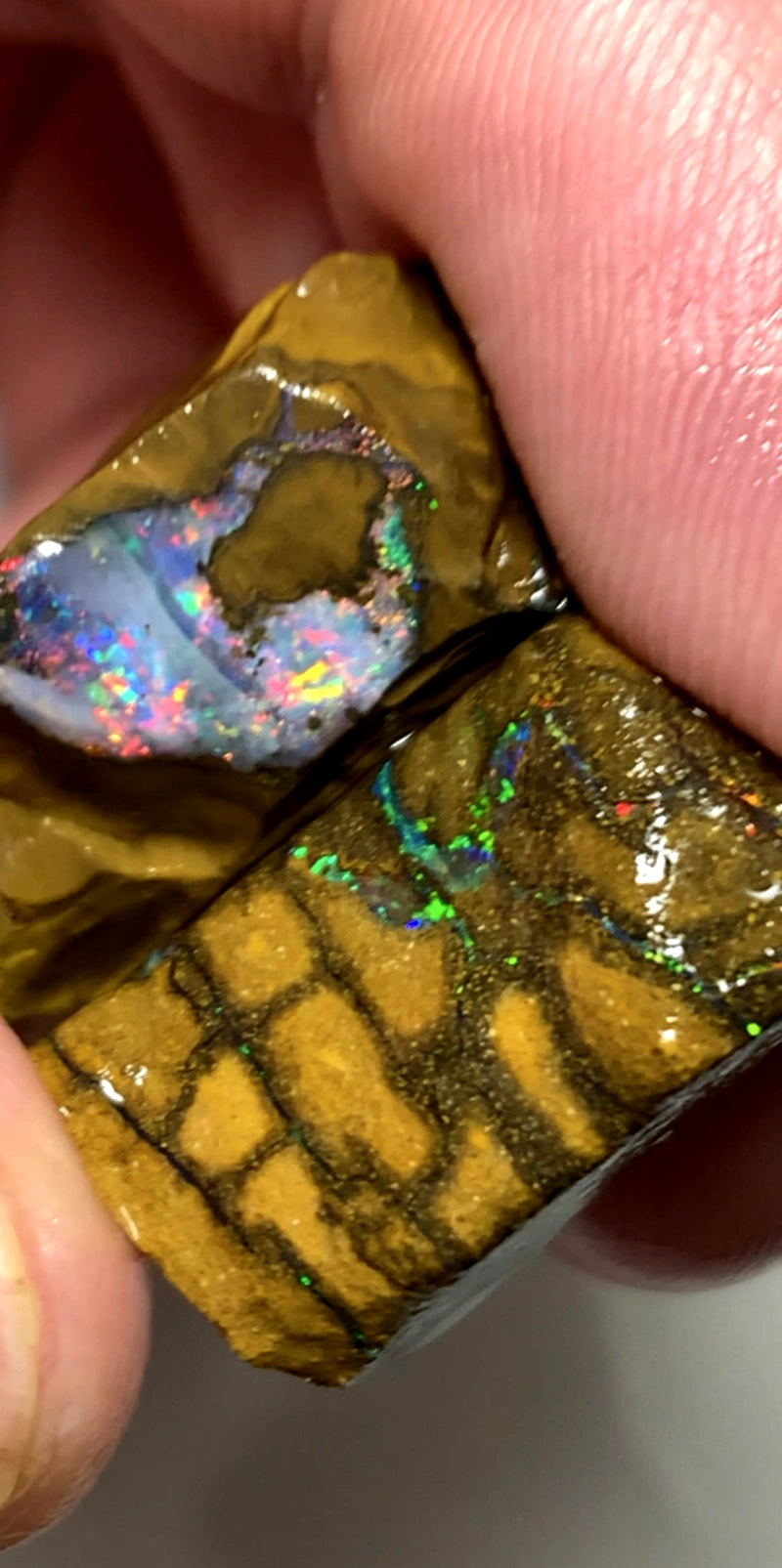 Queensland Boulder opal rough pair 60cts Winton Bright Multifires showing 25x18x11mm & 20x12x6mm BFC66