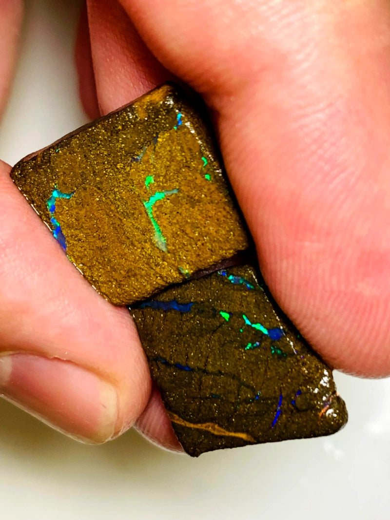 Queensland Boulder opal pair 18cts Winton nice Multifires showing 19x16x6mm both approx BFC57