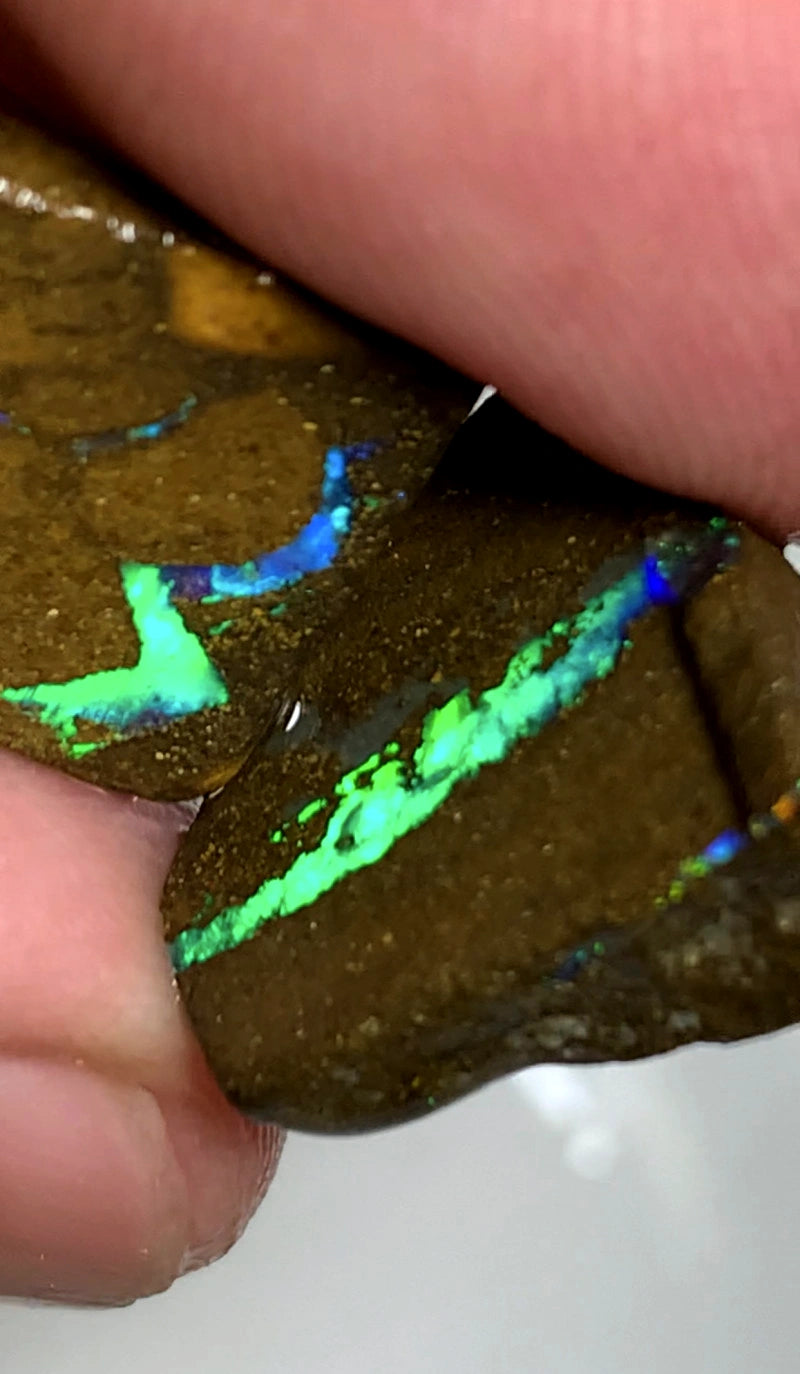 Queensland Boulder opal pair 16.75cts Winton Bright Neon Multifires showing 16x14x4mm & 14x14x3mm BFC60