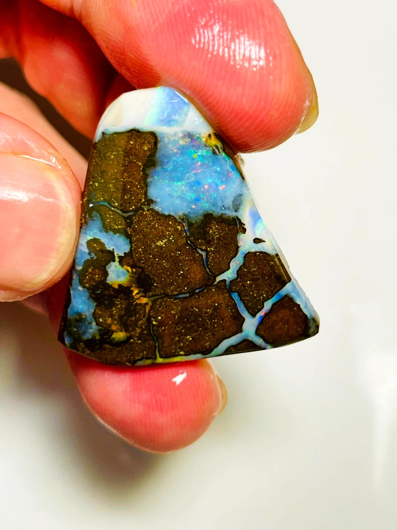 Queensland Boulder opal 36cts Winton rub/rough /preform Pictures with stunning Multifires on Exposed face 31x30x4mm BFC73