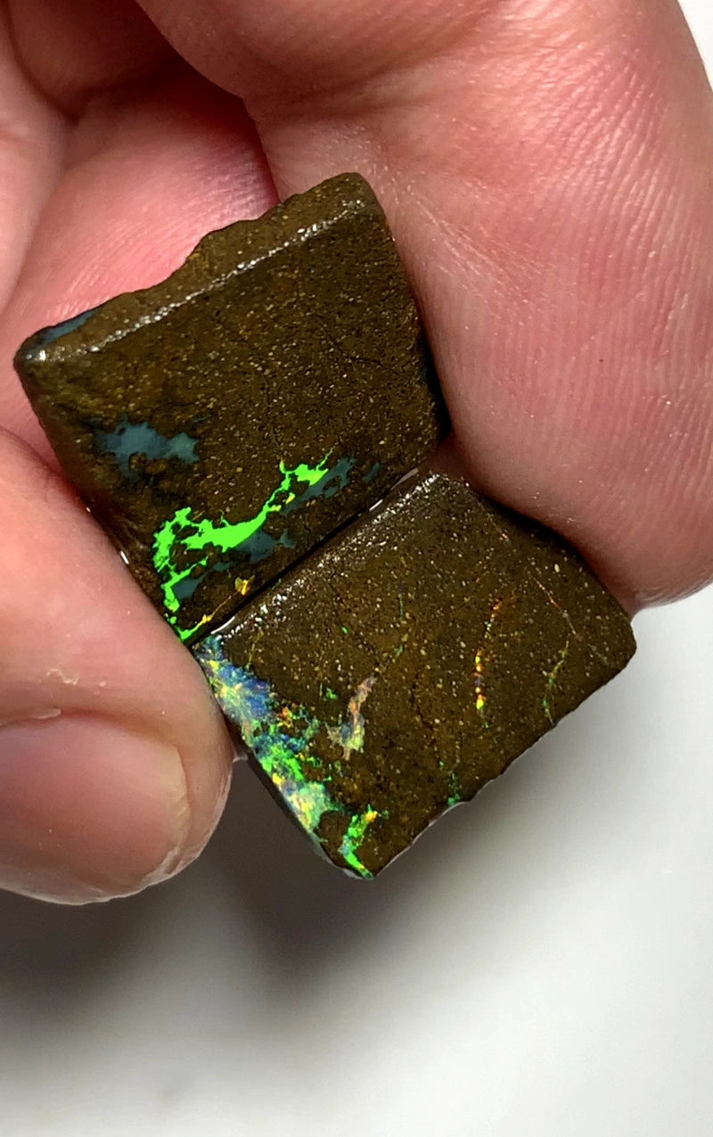Queensland Boulder opal rough pair 16.5cts Winton Bright Vibrant Multifires showing 16x14x2.5mm & 16x12x3mm BFC64