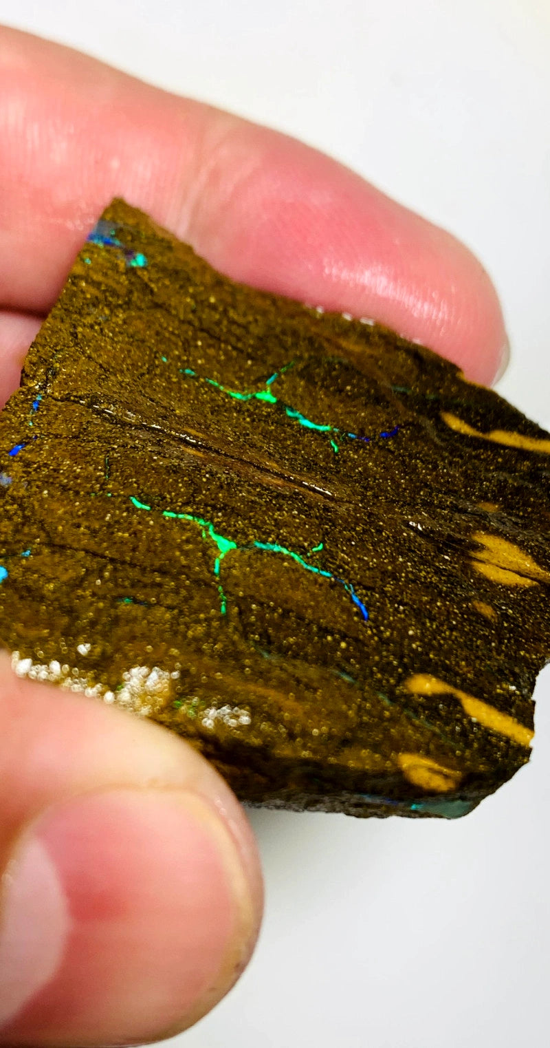Queensland Boulder opal rough Split pair 200cts Winton Bright Vibrant Green fires showing 40x22x14mm BFC68
