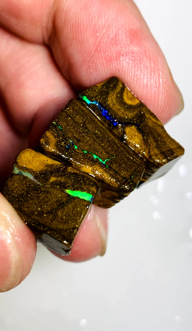 Queensland Boulder opal pair 68cts Winton Bright Vibrant Multifires showing 20x14x8mm to 14x11x8mm BFC62
