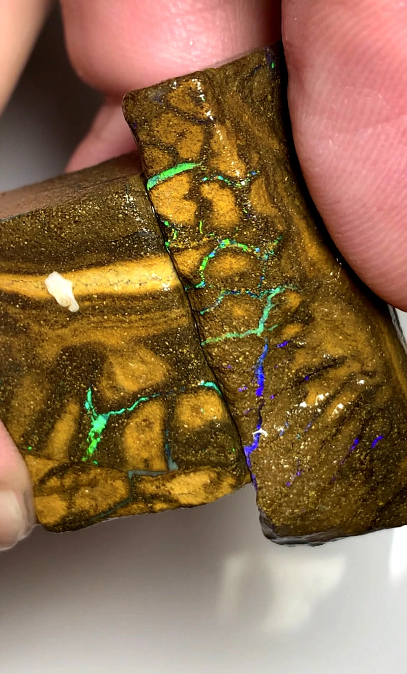 Queensland Boulder opal rough pair 105cts Winton Bright Multifires showing 37x12x8mm & 27x17x9mm BFC67