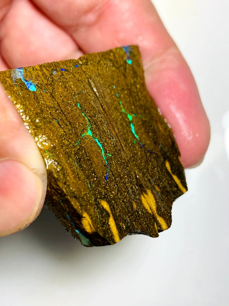 Queensland Boulder opal rough Split pair 200cts Winton Bright Vibrant Green fires showing 40x22x14mm BFC68