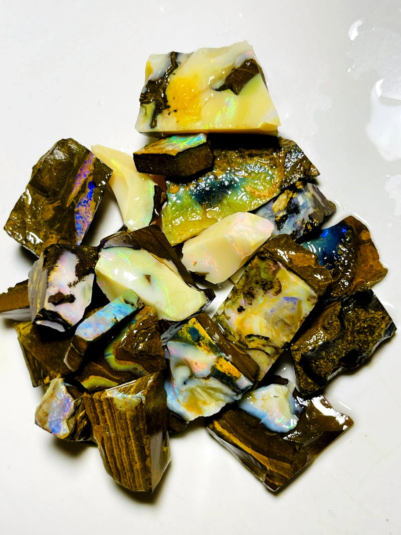 Queensland Boulder opal rough Parcel 490cts Winton Lots fires showing Lots potential 30x20x15mm to 12x10x8mm BFC70