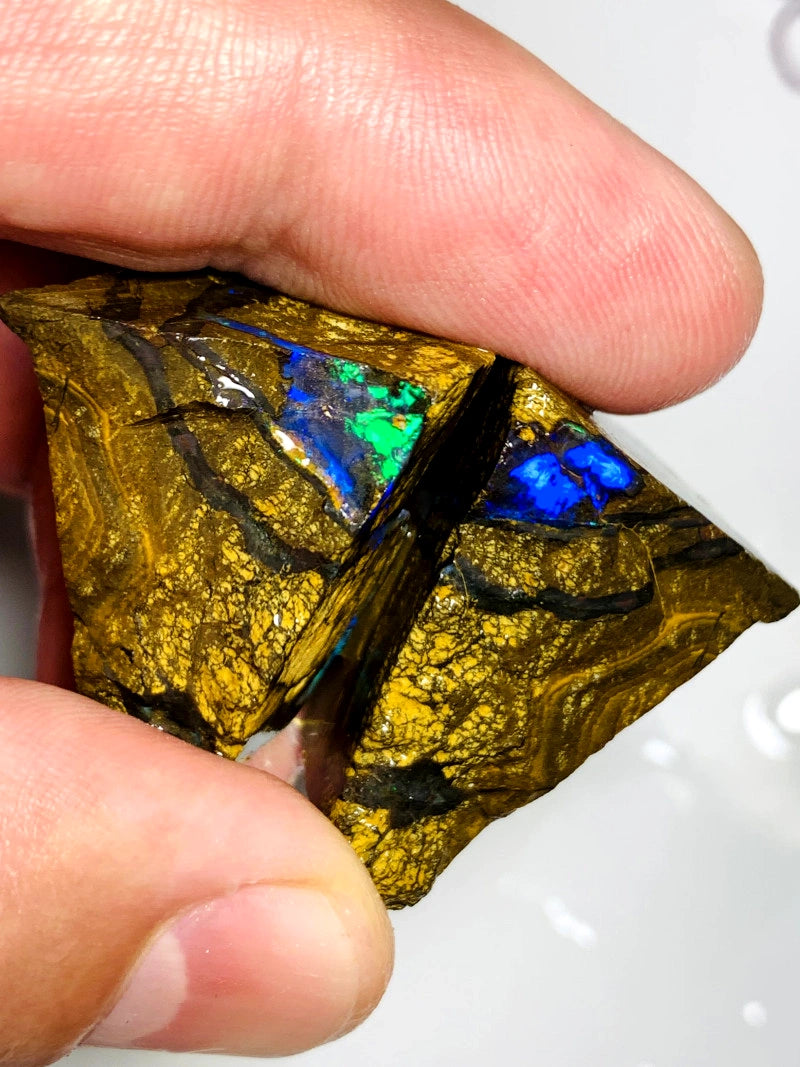 Queensland Boulder opal pair 150cts Winton Bright Fires showing 30x22x18mm & 32x20x16mm BFC59