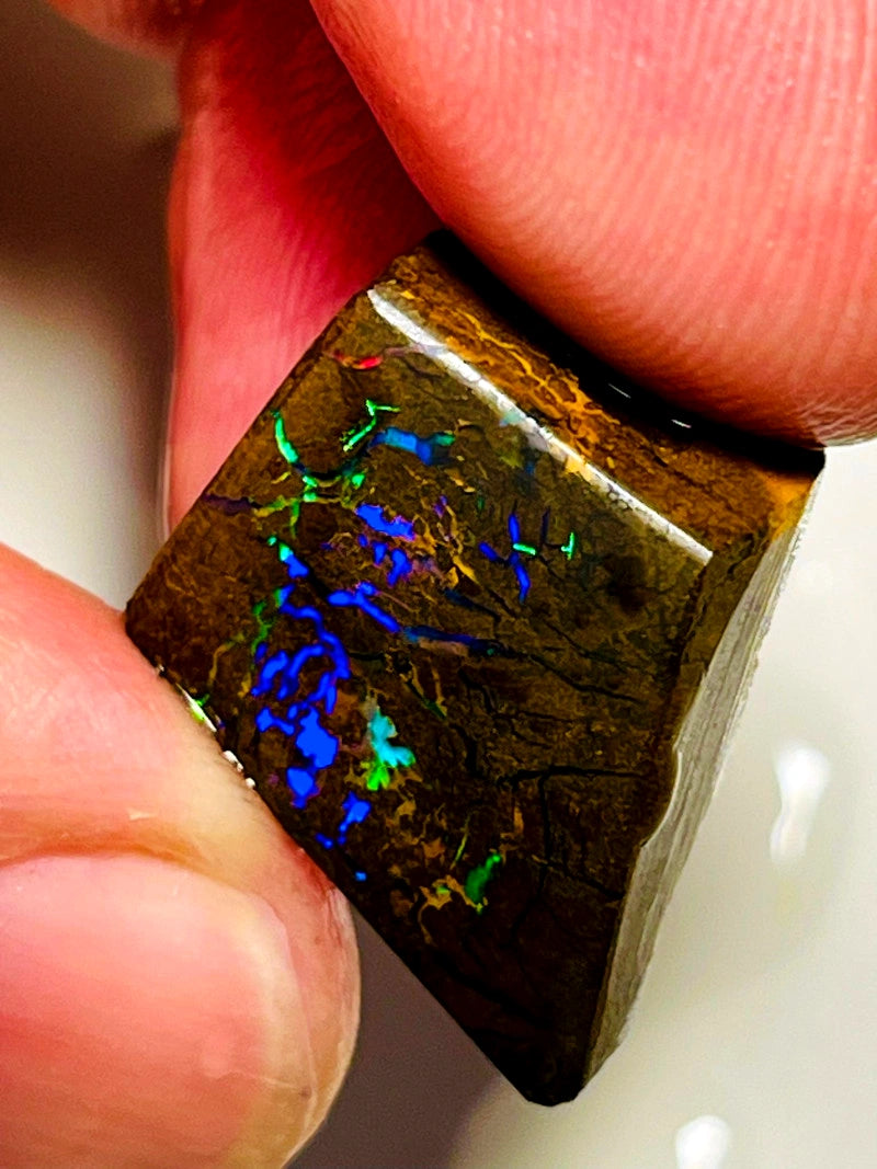 Queensland Boulder opal 30cts Winton rub/rough Vivid Vibrant Multifires on Exposed face 18x15x8mm BFC72