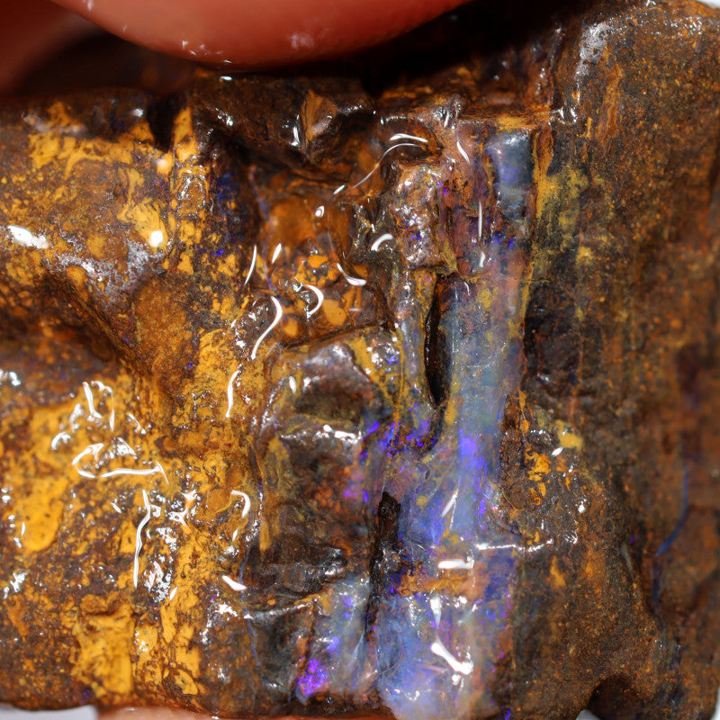 Australian Queensland Boulder Matrix opal single 50cts Tumbled rough Koroit colours & potential 27x18x14mm BFA42
