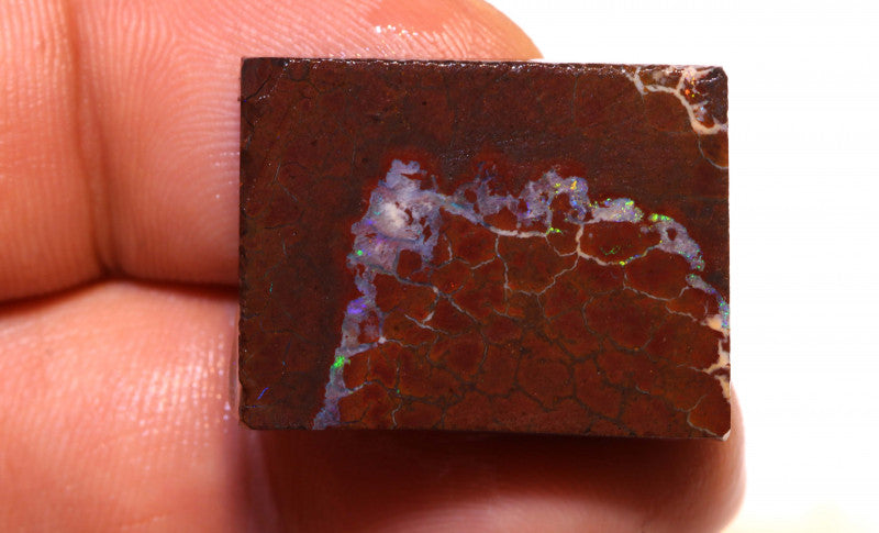 Australian Queensland Boulder Matrix opal 50cts rough / slice Koroit veins of Multifires 26x19x7mm BFA28