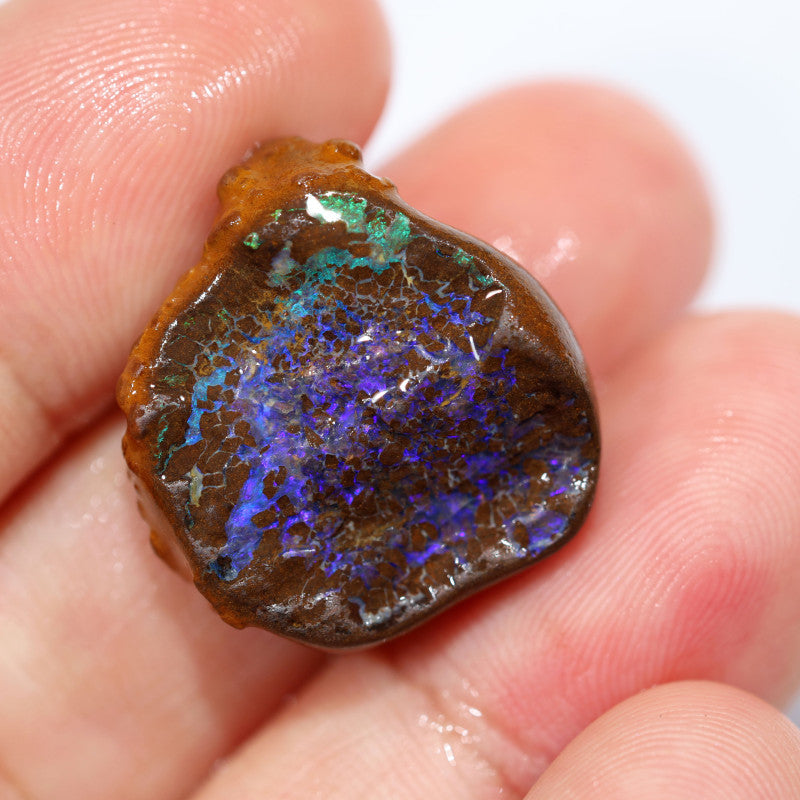 Australian Queensland Boulder Matrix opal single 27cts Tumbled rough Koroit Bright Blue fires & Lots potential 20x19x8mm BFA39