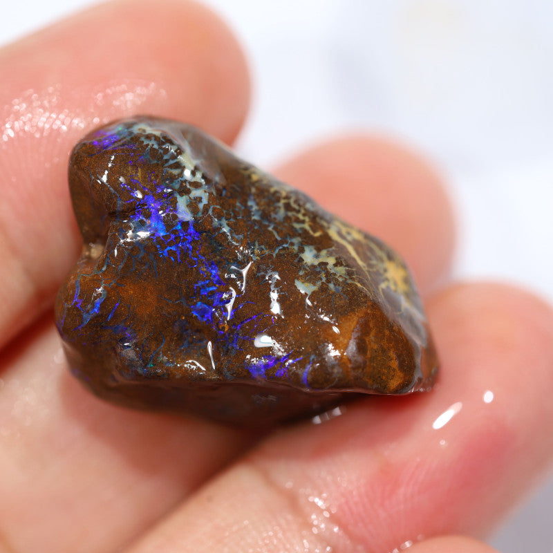 Australian Queensland Boulder Matrix opal single 48cts Tumbled rough Koroit Bright Blue fires & Lots potential 28x17x15mm BFA36