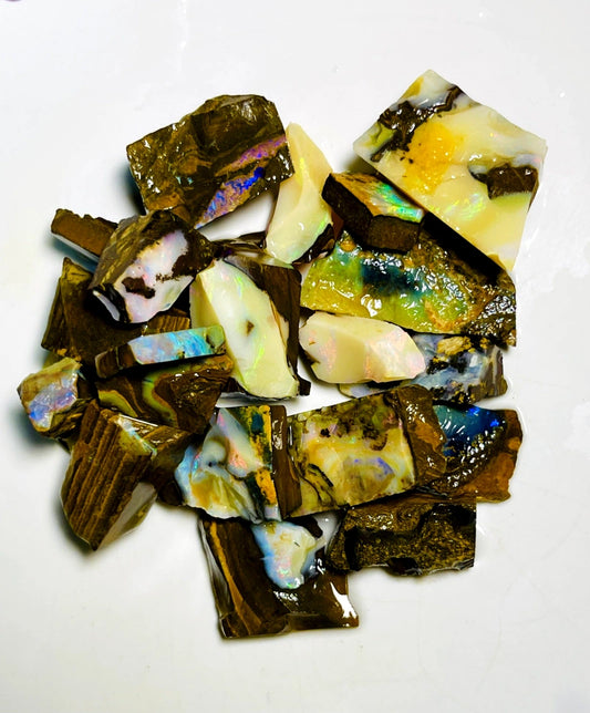 Queensland Boulder opal rough Parcel 490cts Winton Lots fires showing Lots potential 30x20x15mm to 12x10x8mm BFC70
