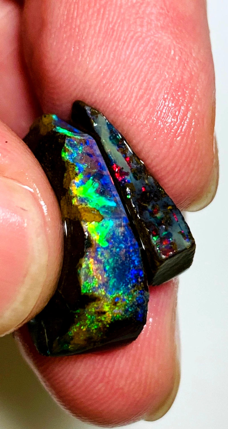 Queensland Boulder opal 21cts Winton Gem rub / rough Stunning Exposed Bright Vibrant Multifires 20x13x7mm & 17x5x4mm BFC56