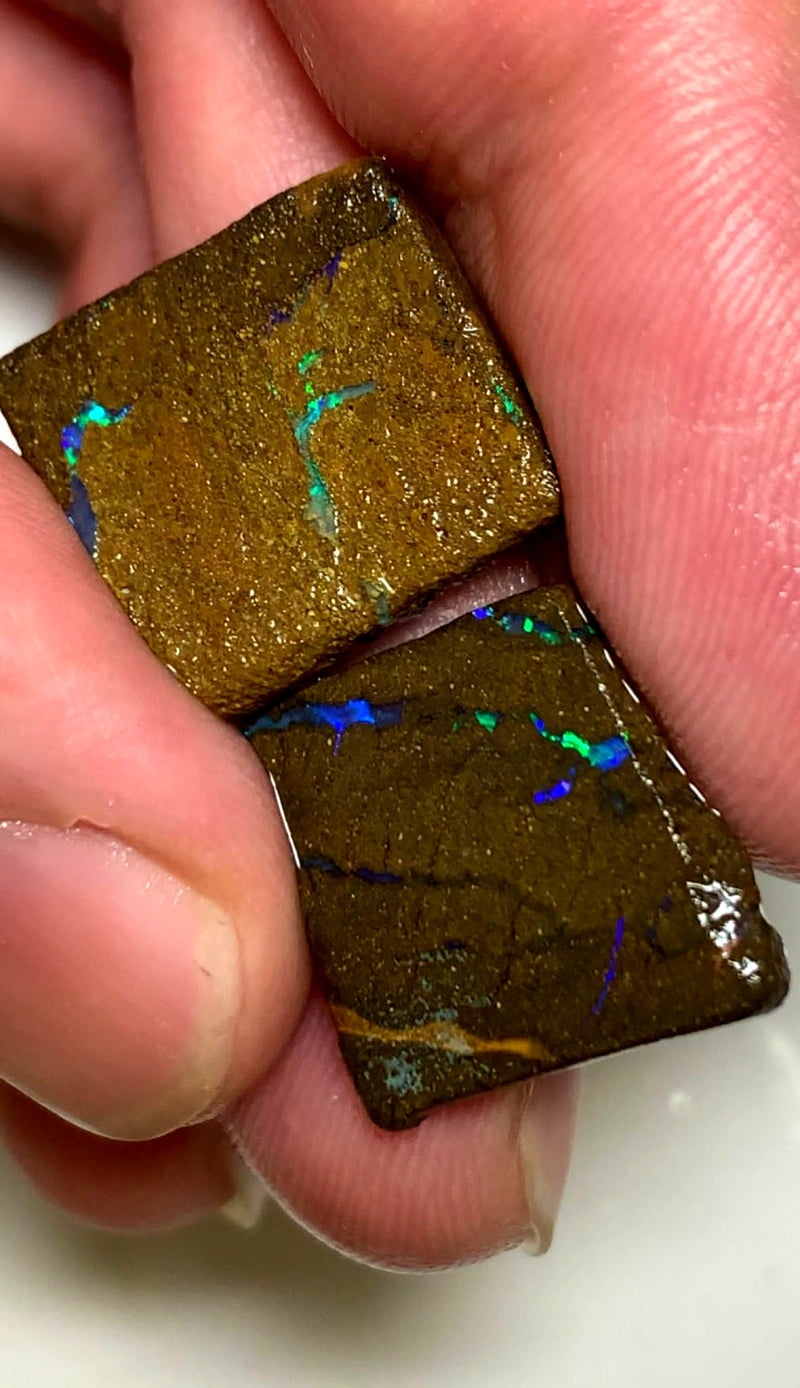 Queensland Boulder opal pair 18cts Winton nice Multifires showing 19x16x6mm both approx BFC57
